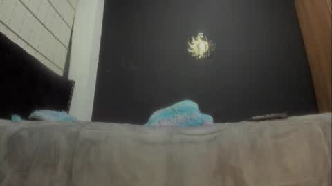 Miss online show from March 2025 06:54:01 PM