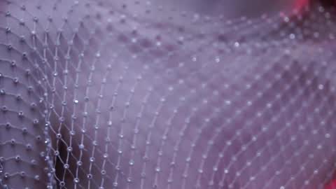        im expecting 350 thumbs up on my altar   online show from February 2025 04:21:01 AM