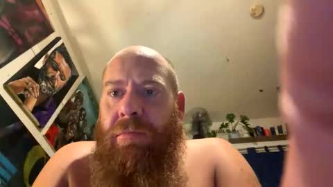gingeriginal online show from May 2026 04:04:01 PM