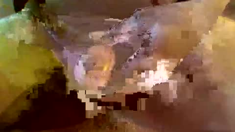 girafsnoop online show from January 2025 09:24:01 AM