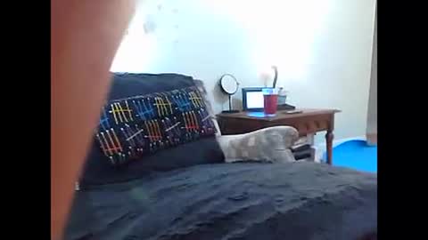 Iri online show from December 2024 09:45:02 AM