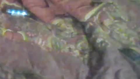 Snapshot of girlscallme666 chatting on January 2026 08:52:01 AM lovegirlscallme online show from January 2026 08:52:01 AM