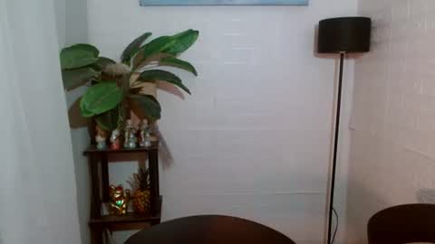 Snapshot of girlwhobelieveinmagic chatting on February 2025 09:46:02 AM Callmenor online show from February 2025 09:46:02 AM