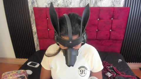 Snapshot of gisellholden_ chatting on May 2026 01:17:02 PM gisellholden_ online show from May 2026 01:17:02 PM