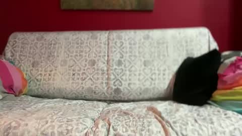 gitanoboy4 online show from May 2026 08:38:02 PM