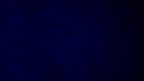 elen06 online show from December 2025 09:25:01 AM