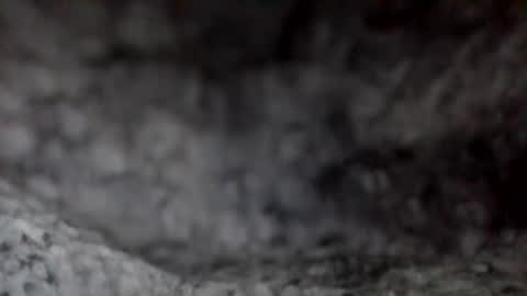 e-Bizl online show from December 2024 11:51:02 AM