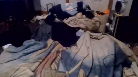 e-Bizl online show from December 2024 04:55:02 AM