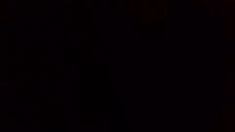 e-Bizl online show from February 2025 08:05:01 AM