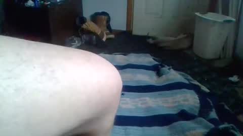 e-Bizl online show from February 2025 07:13:01 PM