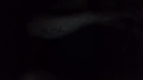 e-Bizl online show from February 2025 03:15:01 AM