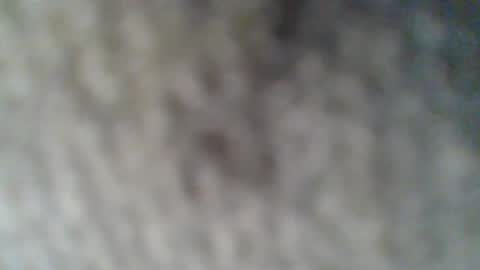 e-Bizl online show from February 2025 10:37:02 AM