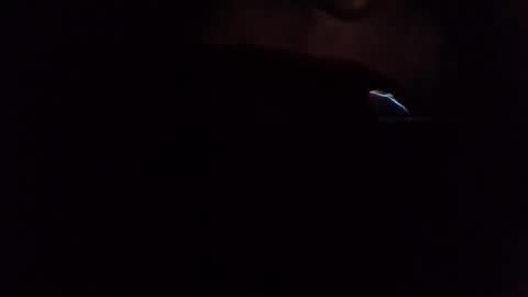 e-Bizl online show from March 2025 06:57:02 AM