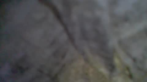 e-Bizl online show from September 2025 09:04:02 PM