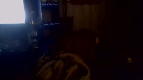 e-Bizl online show from November 2025 05:10:02 AM