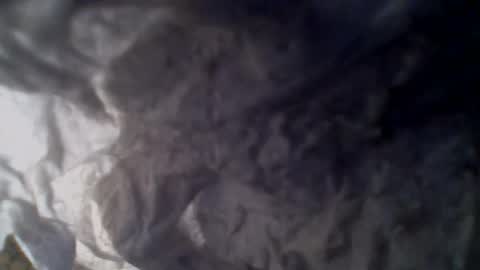 e-Bizl online show from November 2025 10:14:02 AM