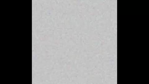 Terri online show from January 2025 12:58:01 PM