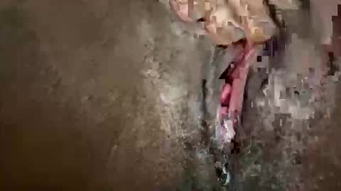 Snapshot of glazehoney chatting on October 2025 03:25:01 PM glazehoney online show from October 2025 03:25:01 PM