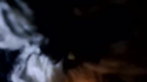 glizzy4u online show from December 2025 05:31:02 PM