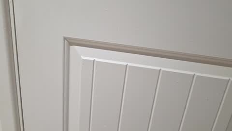 Gloscam online show from November 2025 11:15:01 PM