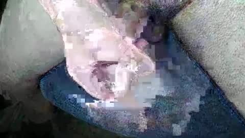 Gman online show from December 2024 04:06:02 AM