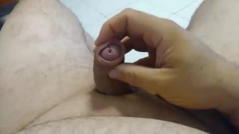 Gobnet online show from November 2025 09:53:01 AM