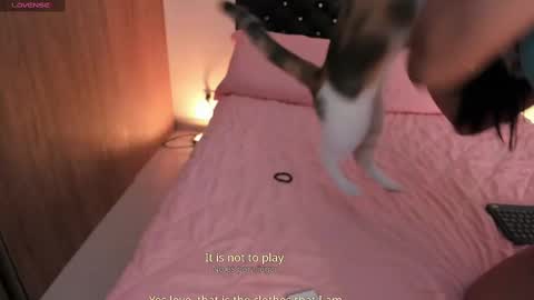 goddess_eli77 online show from October 2025 02:53:01 AM