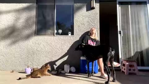 GoddessMayvn online show from December 2024 09:33:01 PM