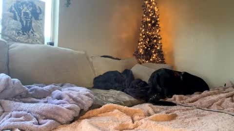 GoddessMayvn online show from January 2025 03:48:01 PM