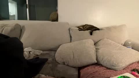 GoddessMayvn online show from February 2025 09:52:01 AM