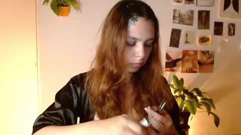 Alaska online show from November 2025 11:48:01 PM