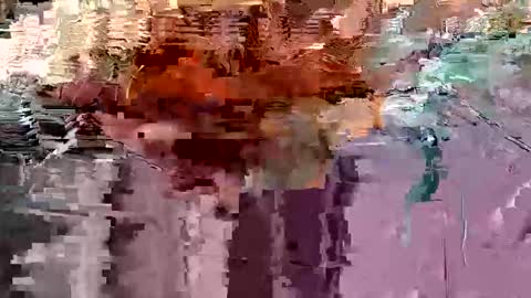 gonadalache online show from November 2025 03:56:02 AM