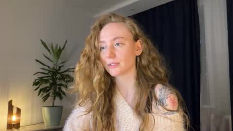 Polly online show from February 2026 06:37:02 PM