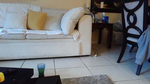 gothbaby305 online show from September 2025 05:58:01 PM