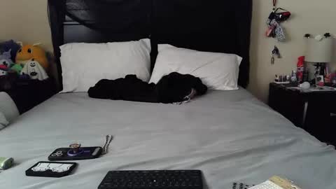 gothbaby305 online show from October 2025 01:46:02 PM