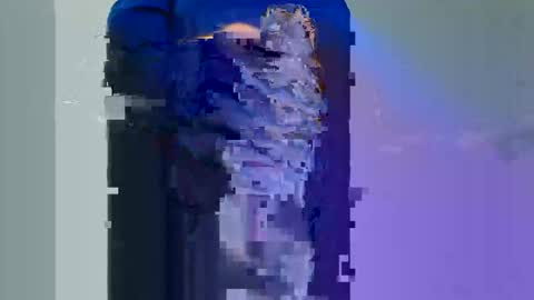 Longwood online show from November 2025 01:59:02 PM