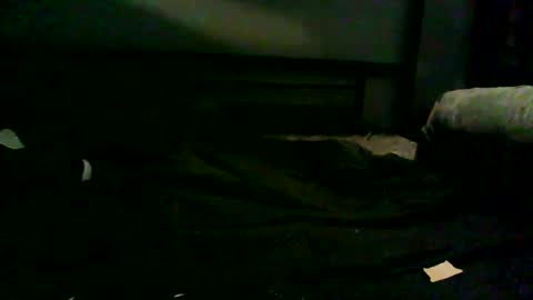 grd137 online show from September 2025 09:09:02 AM