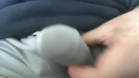 gr8head online show from April 2026 03:01:02 PM