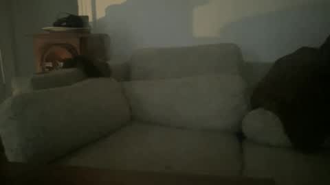 Sonny online show from December 2024 08:23:02 PM