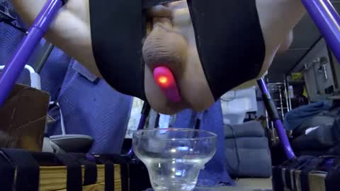 electrogee1 online show from October 2025 08:12:01 AM