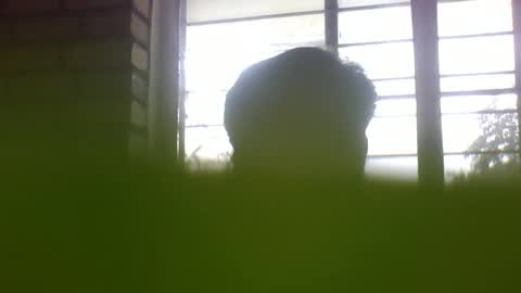 Grey Stud online show from January 2025 05:33:01 AM