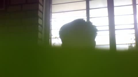 Grey Stud online show from January 2025 06:57:01 AM