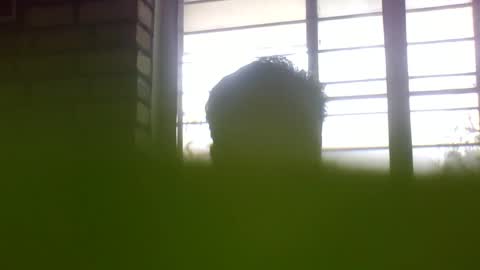 Grey Stud online show from January 2025 05:36:02 AM