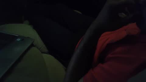 Grey Stud online show from January 2025 12:48:01 PM