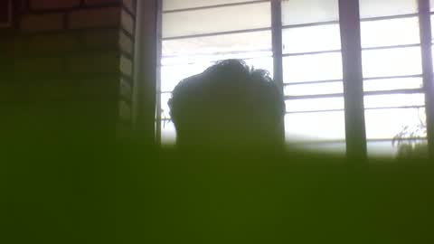 Grey Stud online show from February 2025 06:36:01 AM