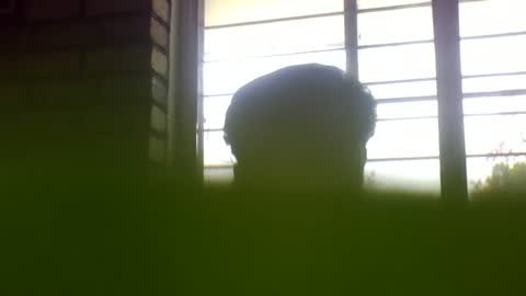 Grey Stud online show from February 2025 06:56:01 AM