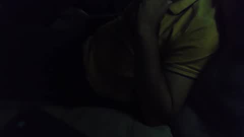 Grey Stud online show from February 2025 08:43:02 AM