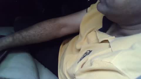 Grey Stud online show from February 2025 09:32:02 AM