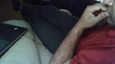 Grey Stud online show from February 2025 05:38:01 AM