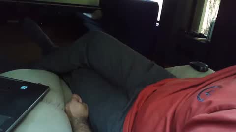 Grey Stud online show from February 2025 09:00:02 AM